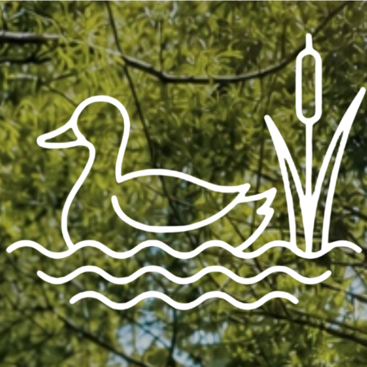 Circular Image