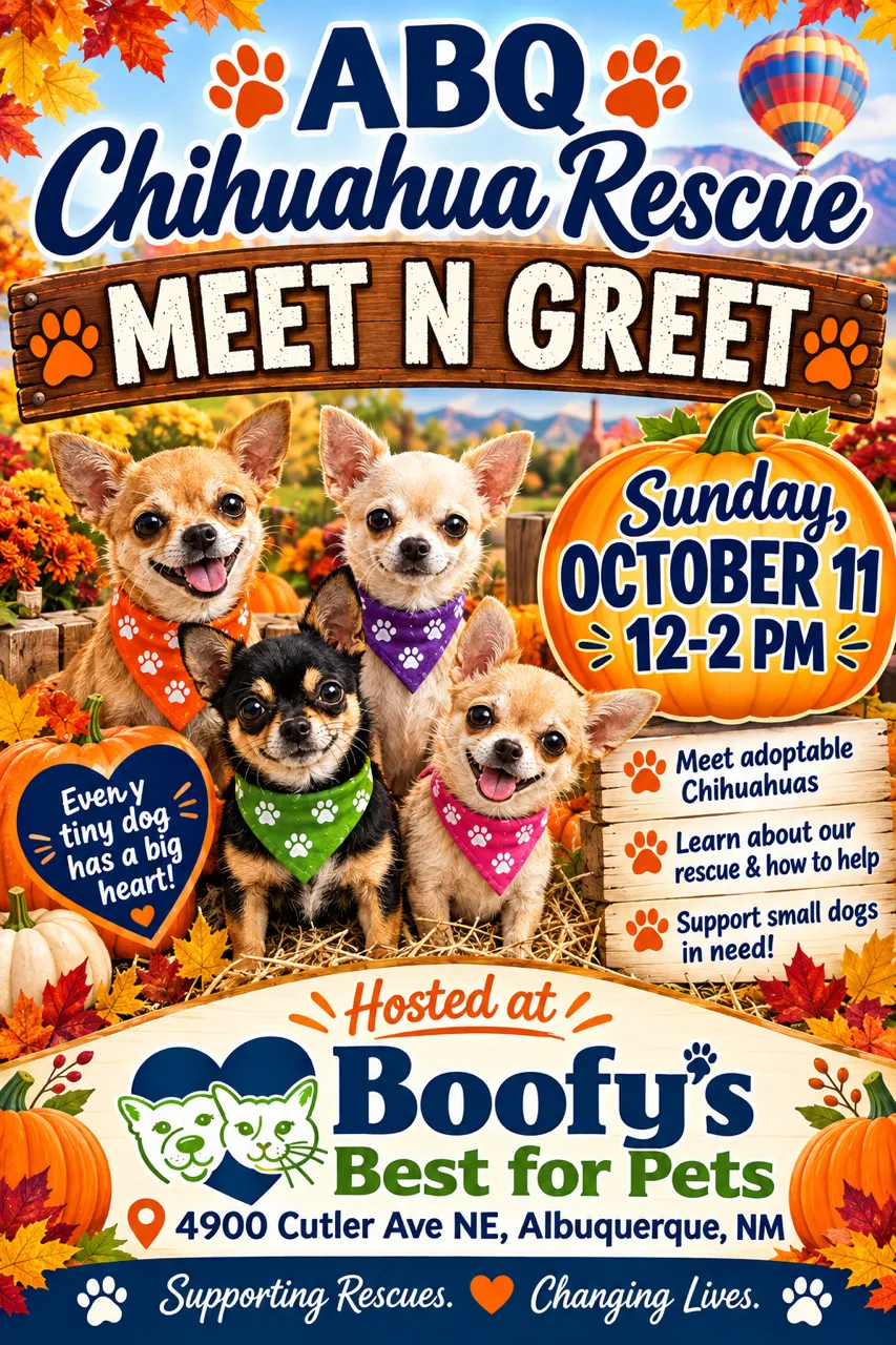 Image of Local Pet Event ABQ Chihuahua Rescue Meet 'N Greet Adoption Event (Cutler) Nearby