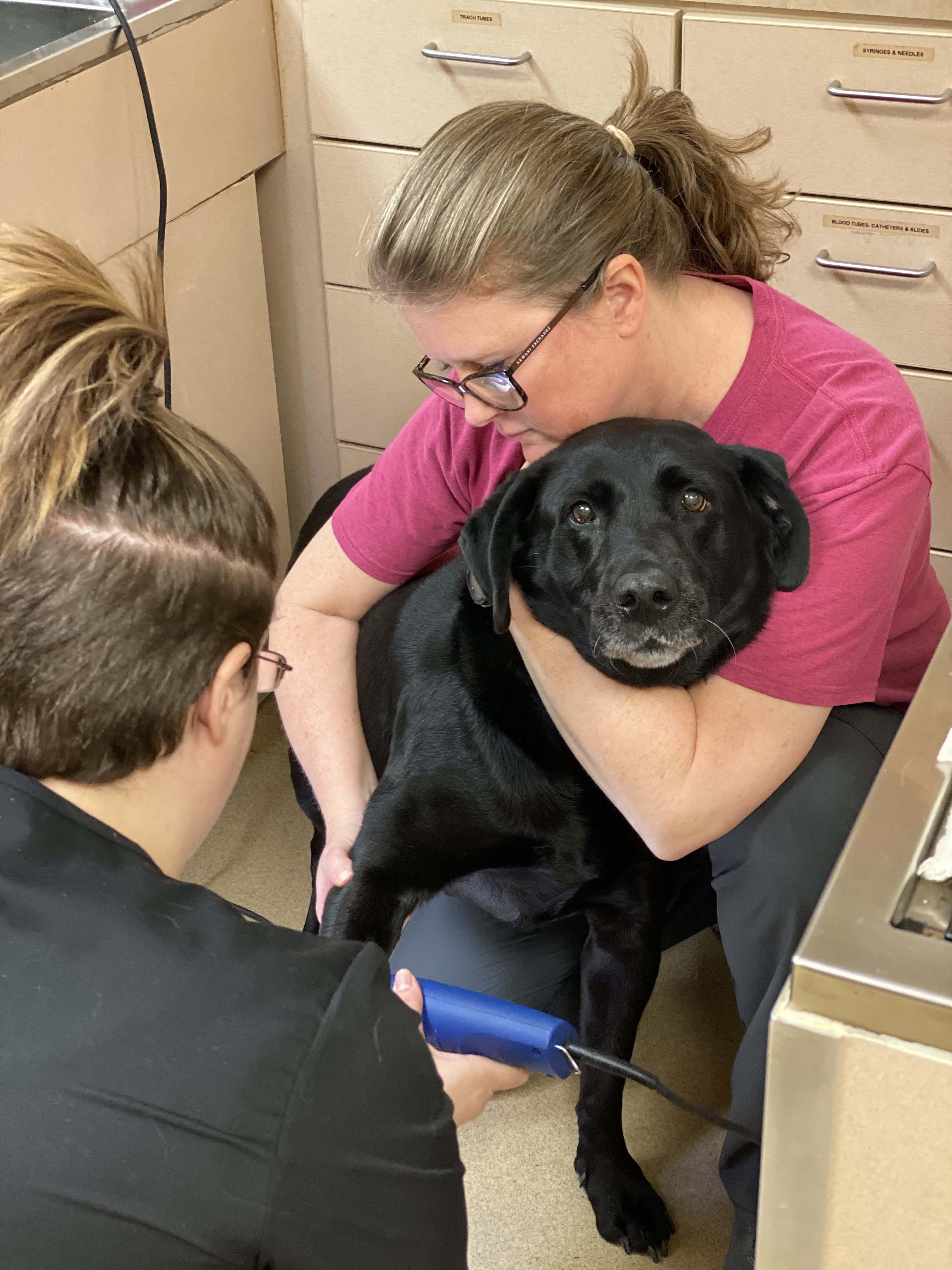 We handle each and every patient with the understanding that comes from years of veterinary experience and the gentleness that comes from a deep admiration for animals.