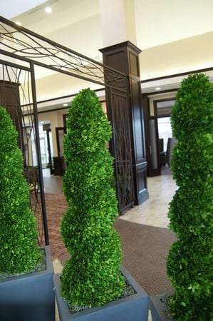 Images Hilton Garden Inn New Braunfels