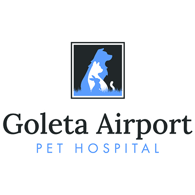 Goleta Airport Pet Hospital