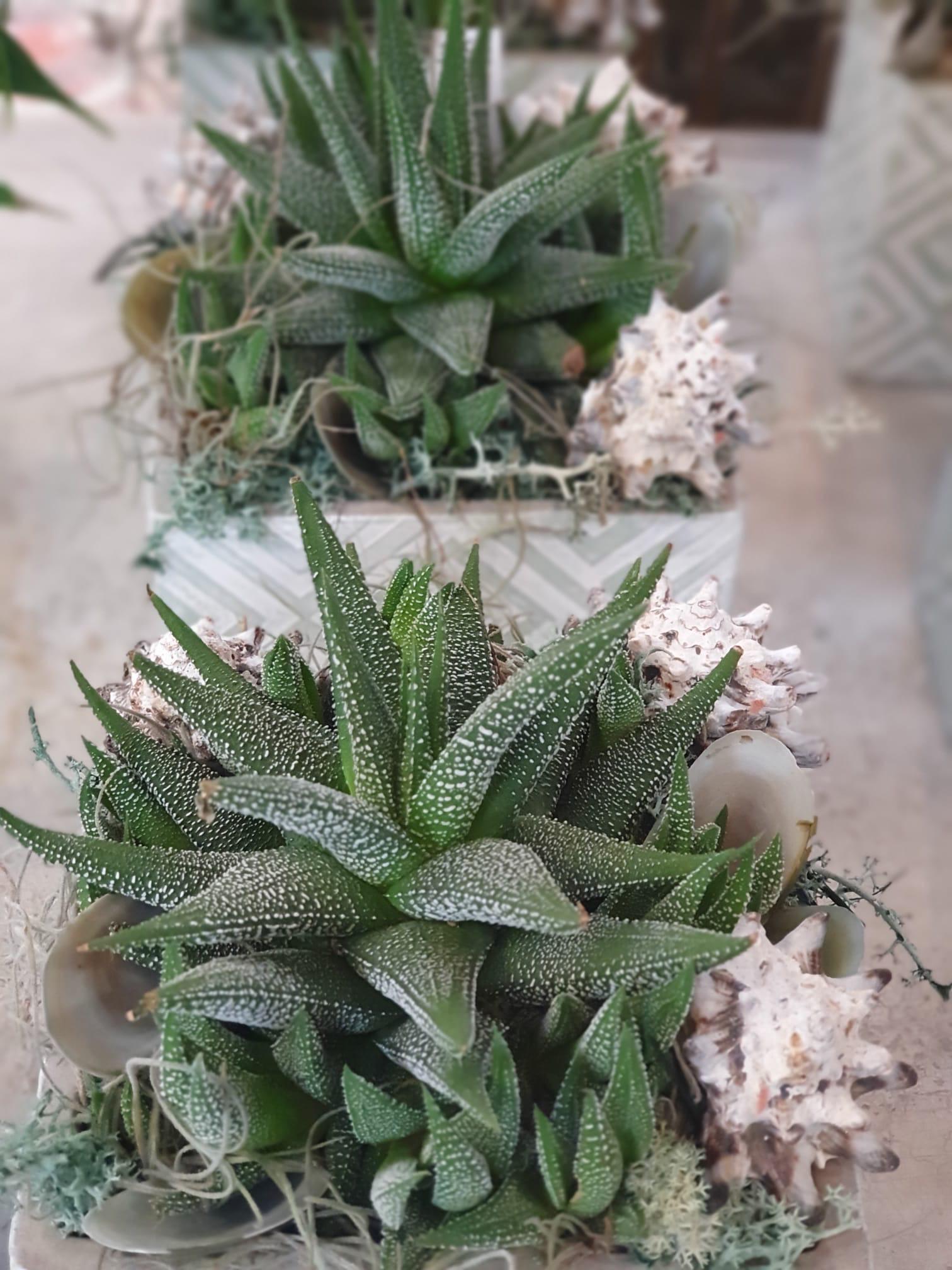 Bluemeträff Martin von Bergen GmbH, Wildenstrasse 14 in Neuhausen am Rheinfall