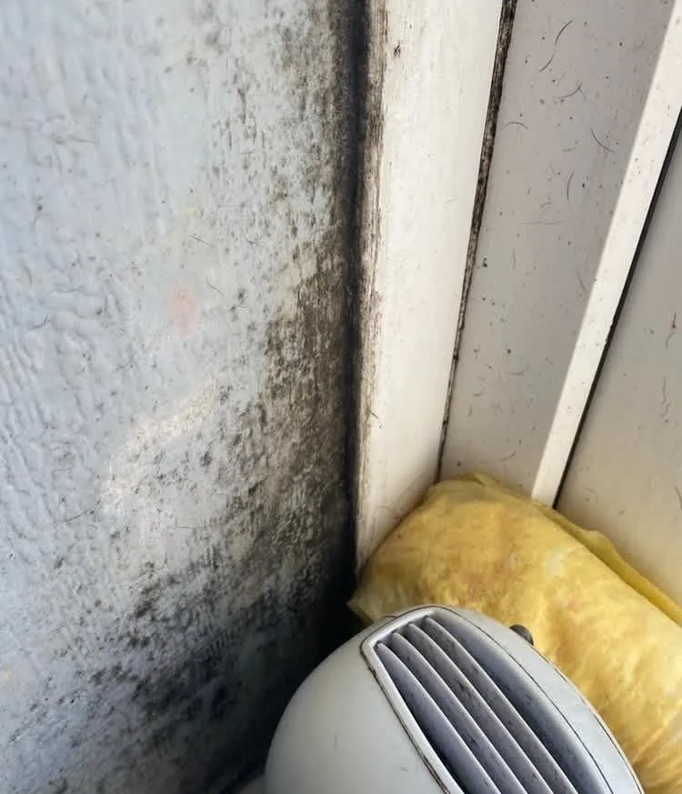 Images Housing Disrepair Experts