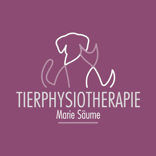 Tierphysiotherapie Marie Säume, Glashütter Straße 101 in Dresden