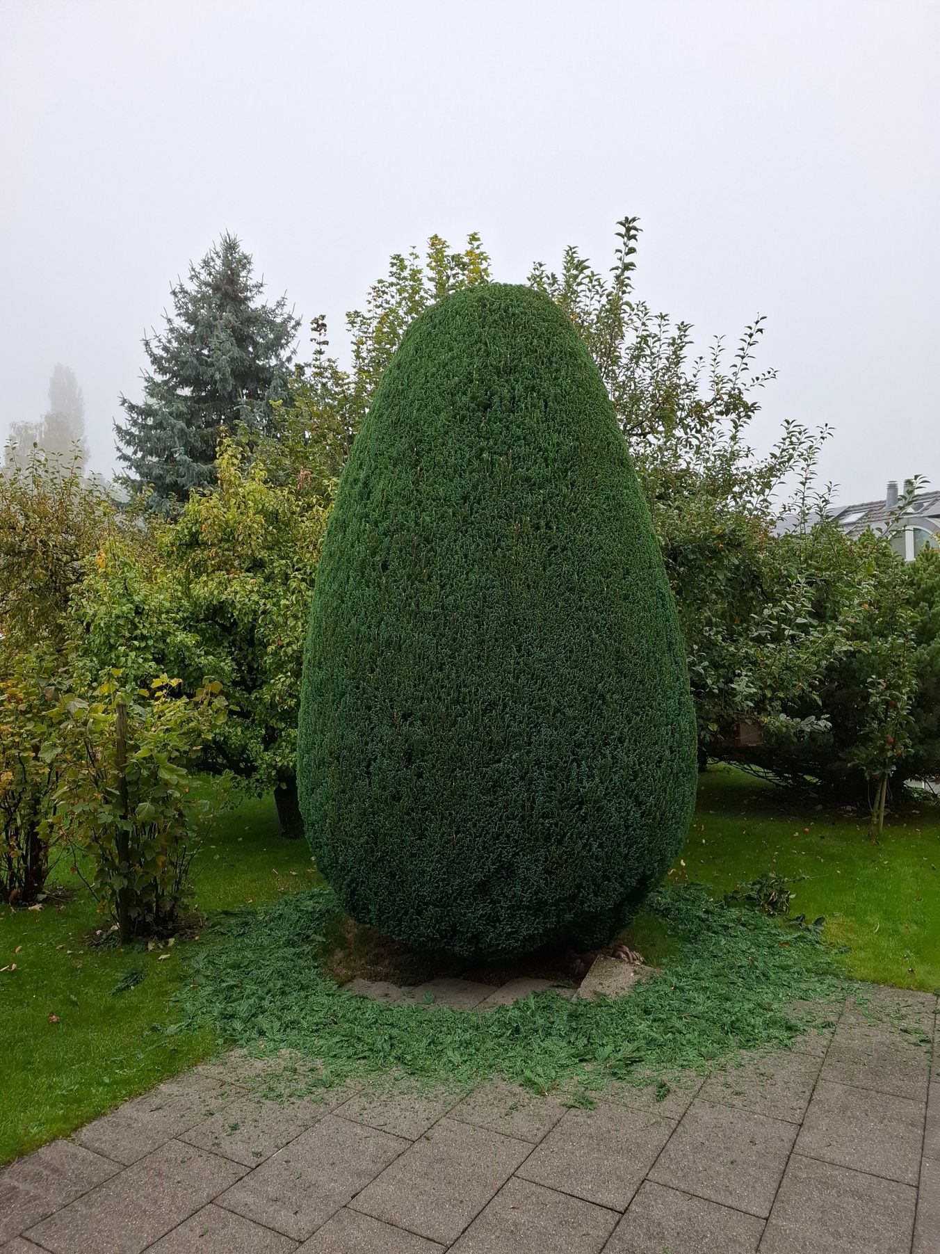 Chraftgrüen GmbH, Horchental 70 in Mörschwil