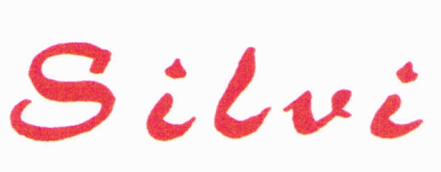 Images Construcciones Silvi S.A.