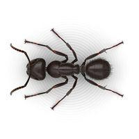 Robbins Pest Control LLC