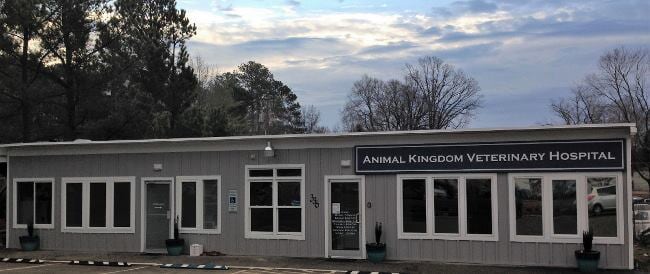 Images Animal Kingdom Veterinary Hospital