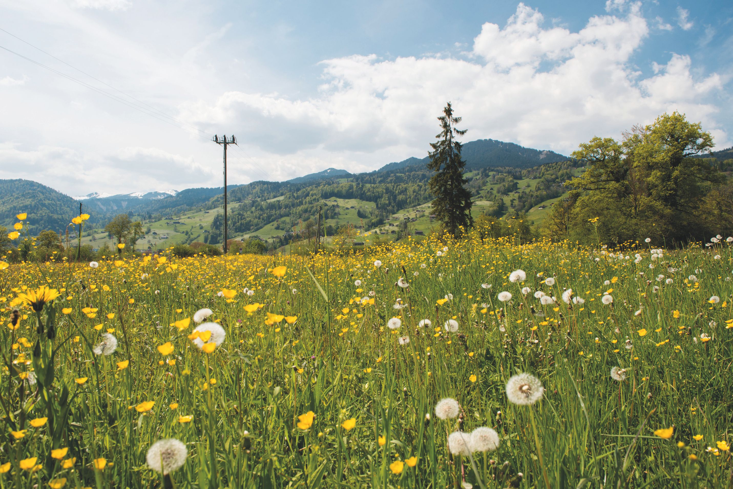 Bilder Elektrizitätswerk Obwalden