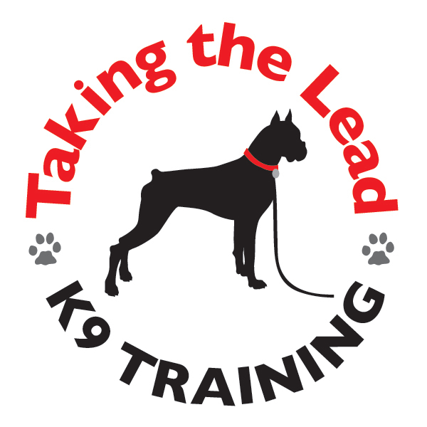 Dog Day Care In Alpharetta Ga Dog Day Care In Alpharetta Ga
