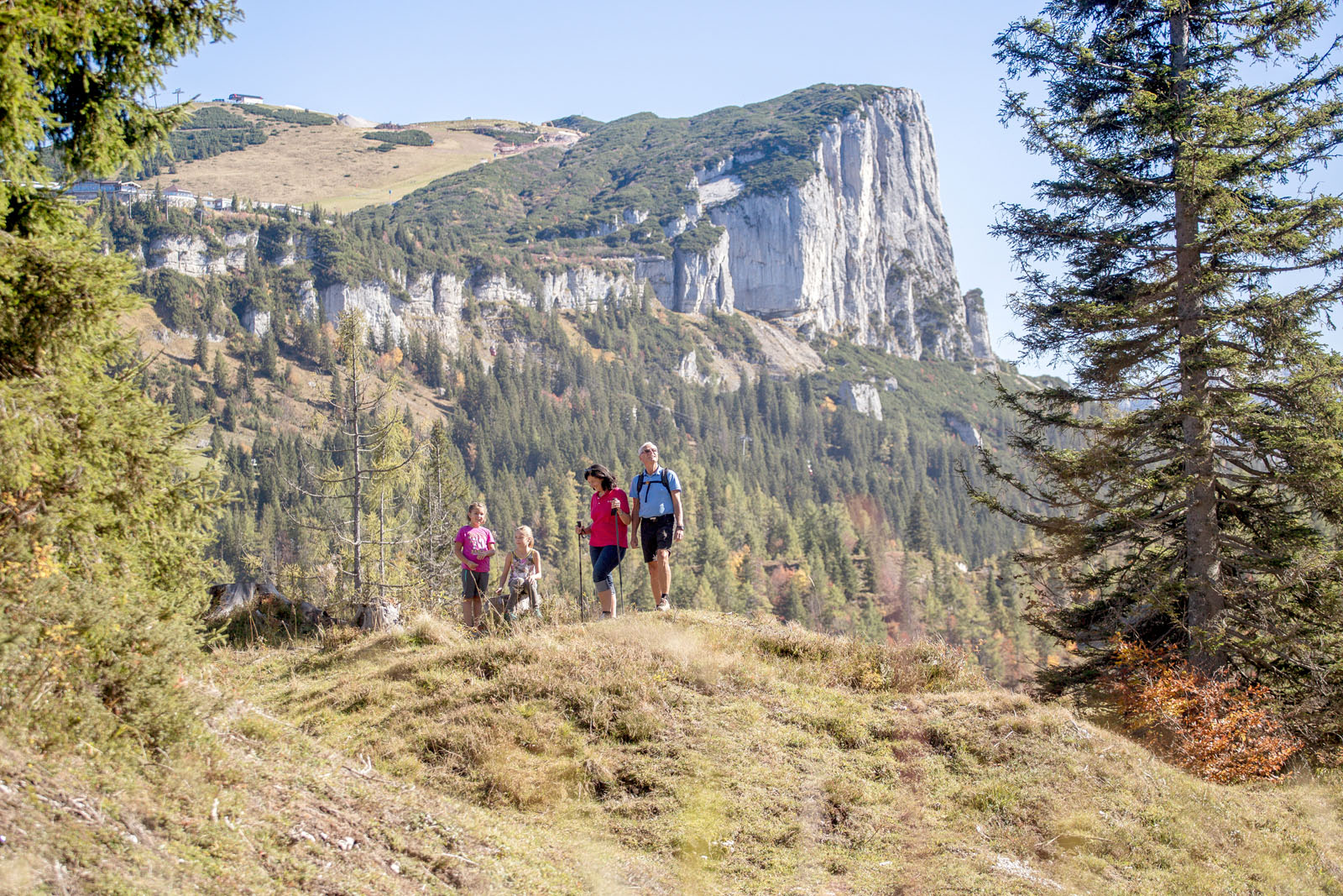 Bild 44 von Bergbahnen Steinplatte Waidring/Triassic Park