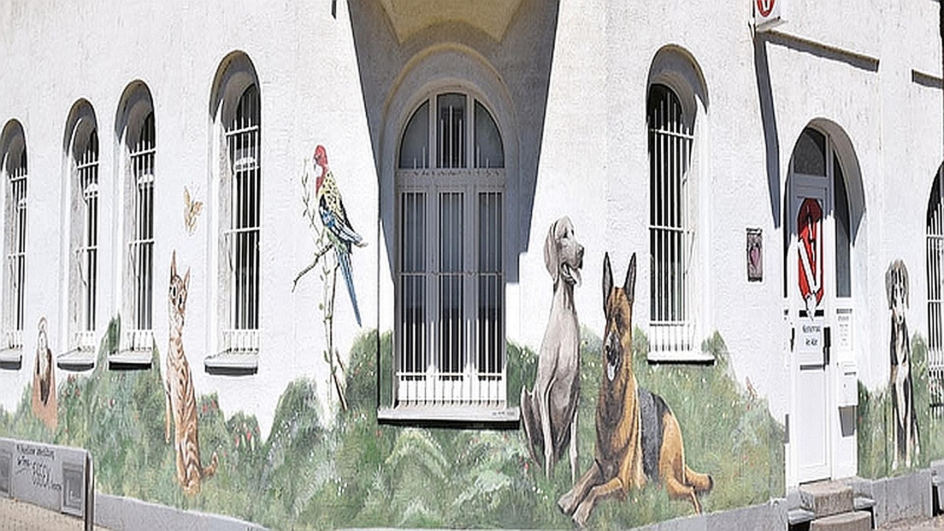 Tierarztpraxis am Adler in Leipzig