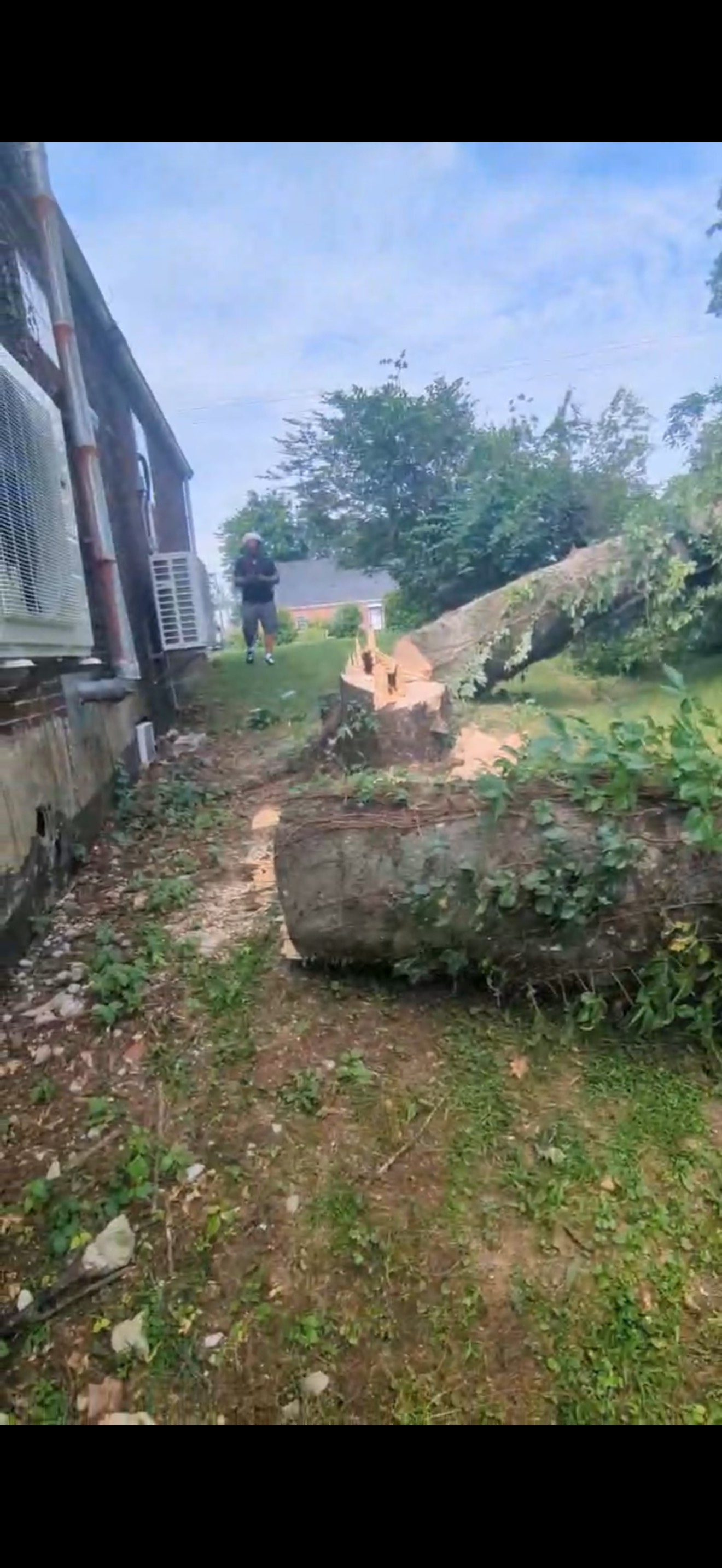 R and A Tree Service Inc Image