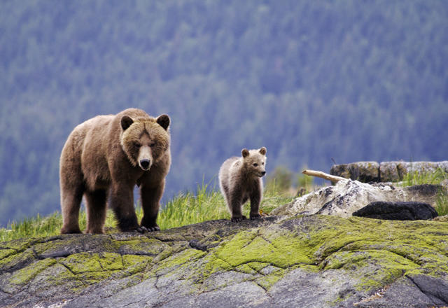 Kanadareisen.de, Auf dem Bürgel 6 in Münster (bei Dieburg)