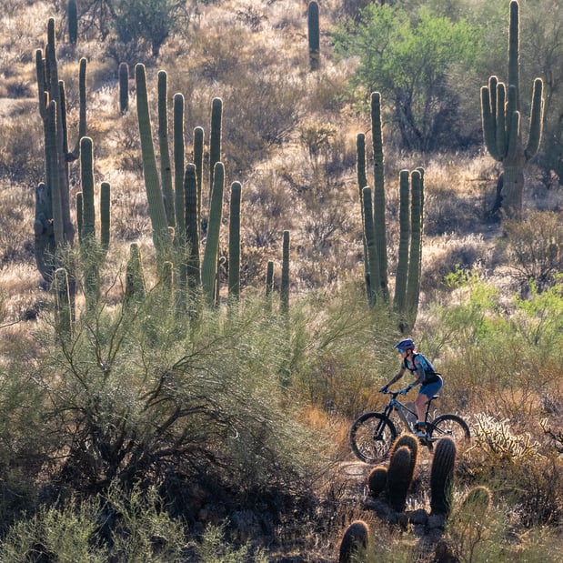 Images Archer's Bikes Prescott
