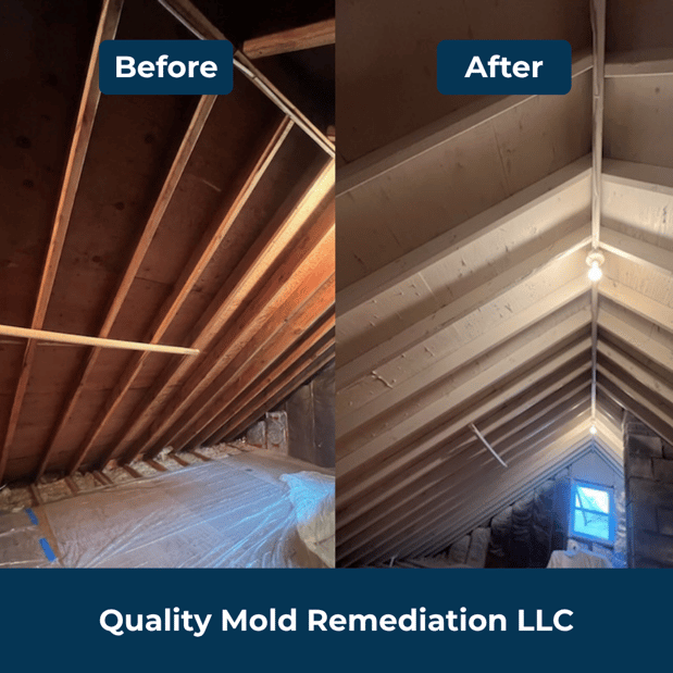 Images Quality Mold Remediation LLC