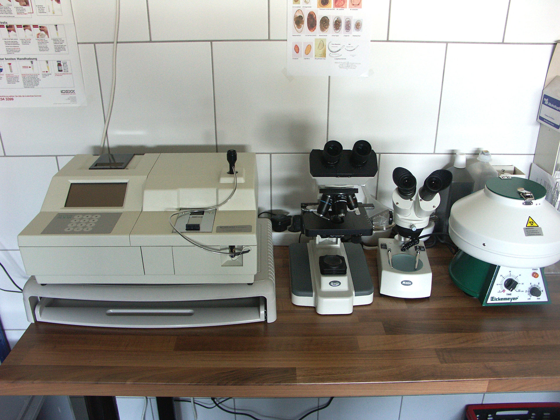 Bild 5 von Tierarztpraxis Dr. Brigitte Steiner