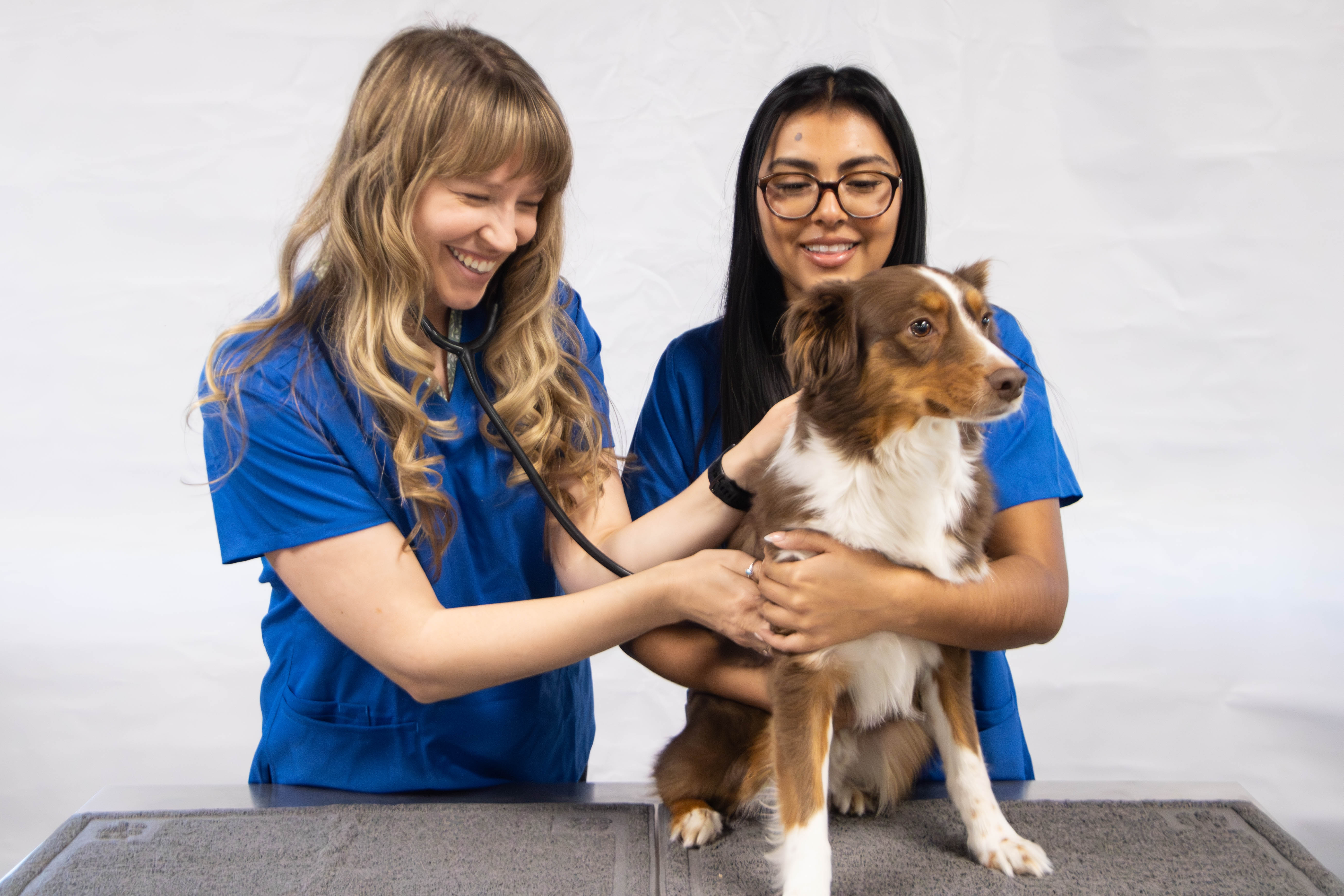 Dr. Amy Jager, owner of CityVet | Verrado and a tech examining a dog