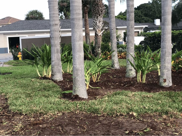 Images Schurlknight Landscaping