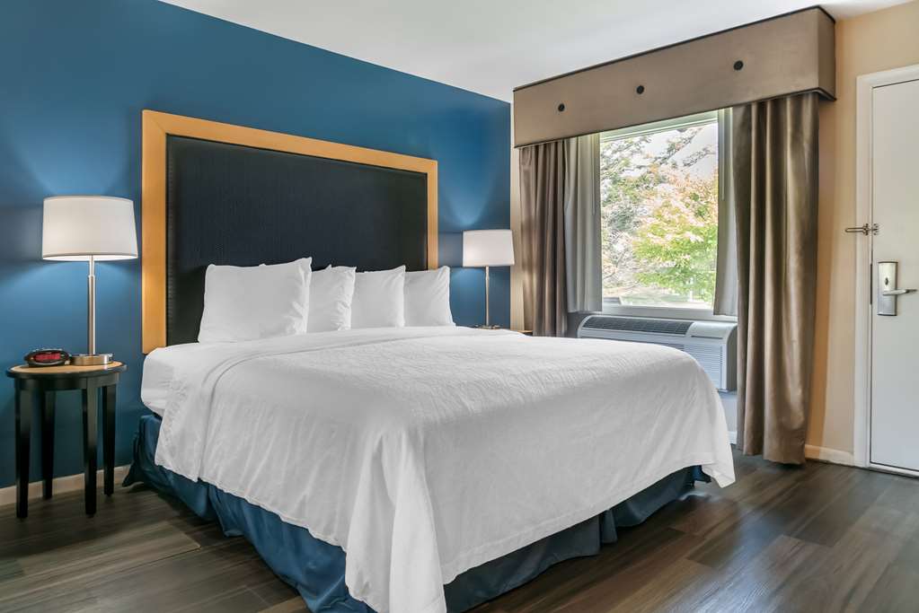 King Bed Room
