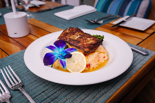 Butterfly Café Image