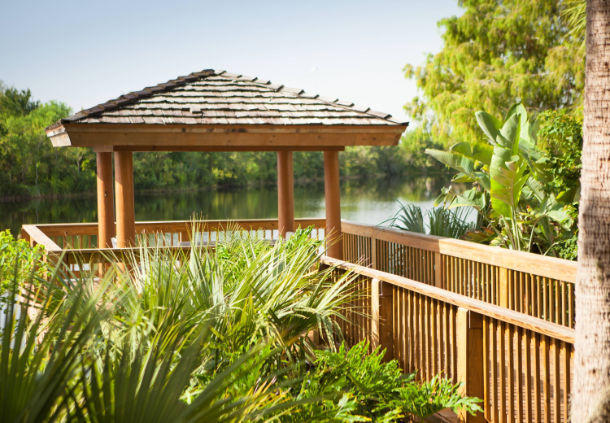 Escape the energy of Orlando and spend a moment on our lake deck.