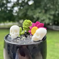 Images Cat's Candles