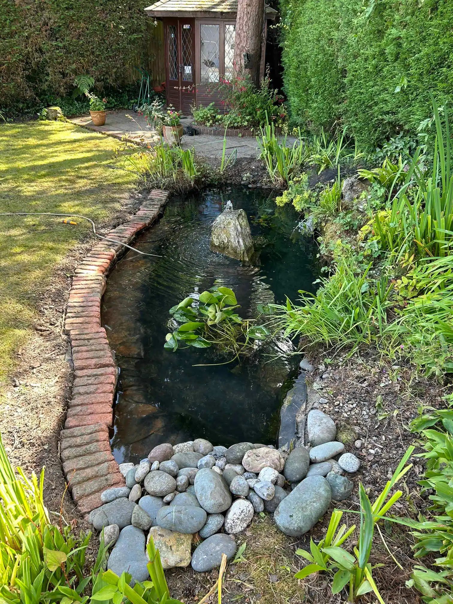 Images SJH Ponds & Aquariums