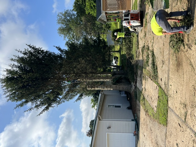 Lucca Landscaping & Construction LLC provides safe and efficient tree removal services to help protect your property and maintain a clean, open landscape. Whether due to damage, disease, or space planning, we handle each removal with precision and care. Our team is committed to completing every job with minimal disruption and maximum safety. You can count on us for professional service that gets the job done right.