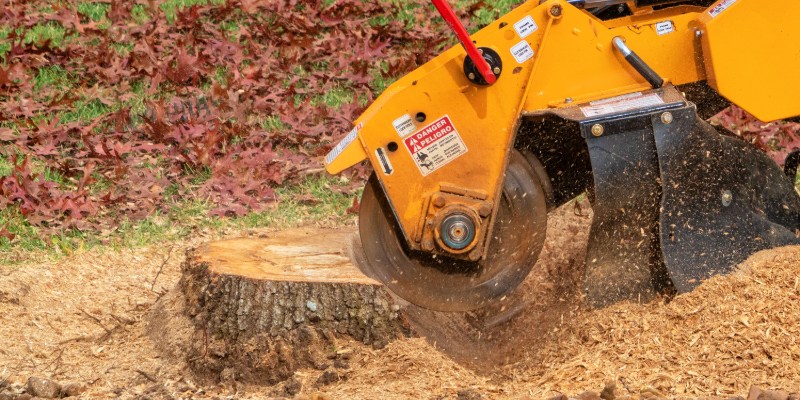 Clear unwanted stumps from your property with our stump grinding services .