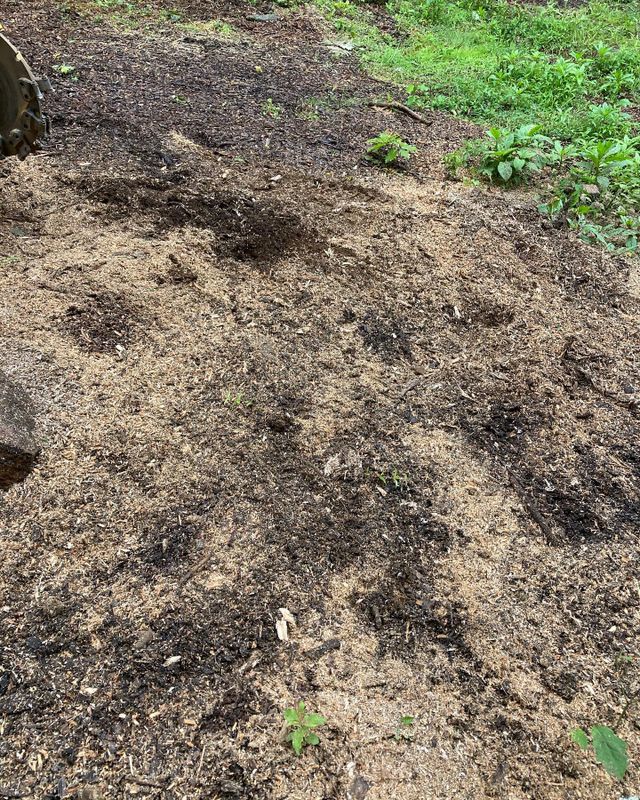 Images Precision Stump Grinding