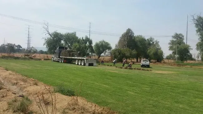 Images Pasto En Rollo Rancho Aranda