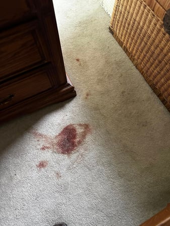 Images Van-Go Custom Carpet Cleaning