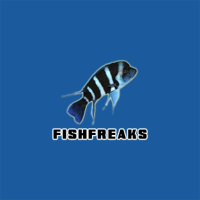 Fish Freaks