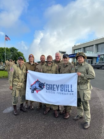 Images Grey Bull Rescue Foundation