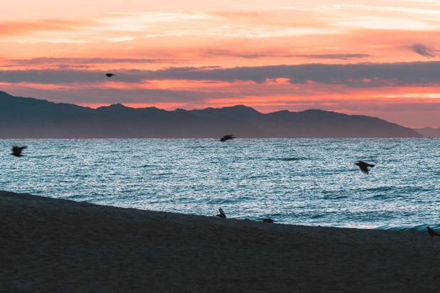 Images Hotel Californian