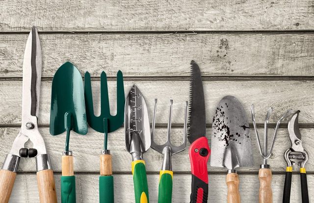 Images Settebello S.a.s.