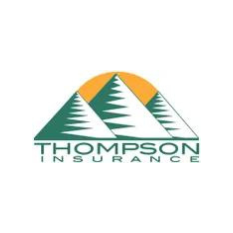 Thompson Insurance Ltd Logo