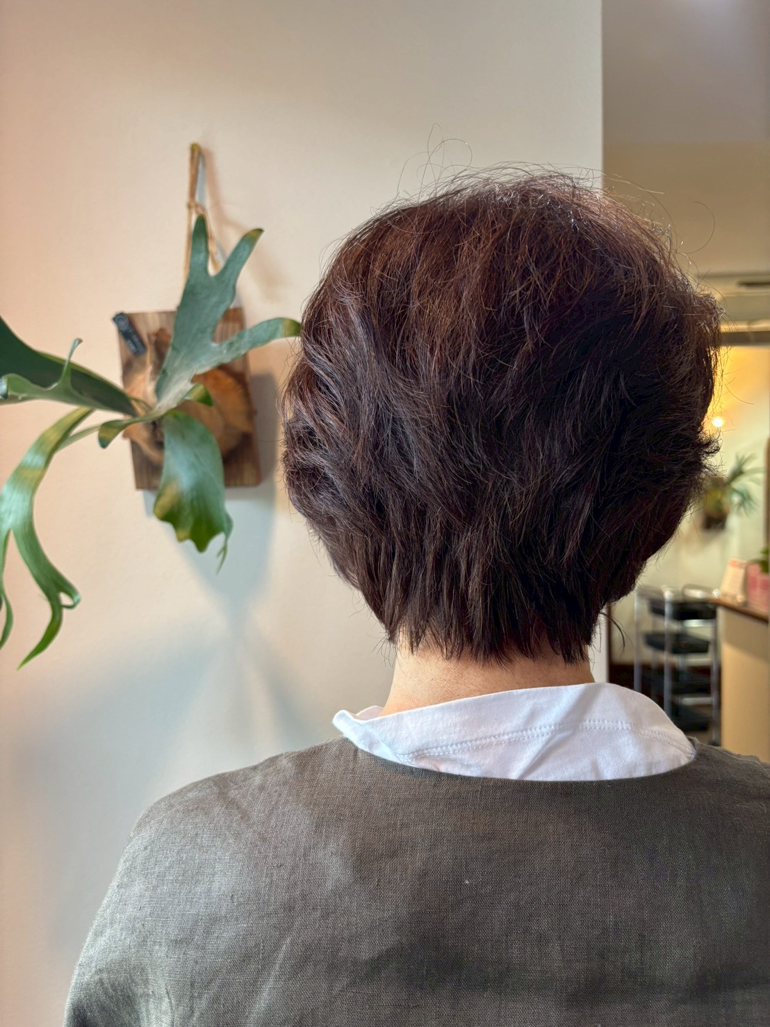 Images PLUS 【プルス】墨染店