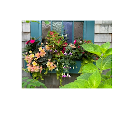 Images Deborah L. Wilson Garden Services LLC