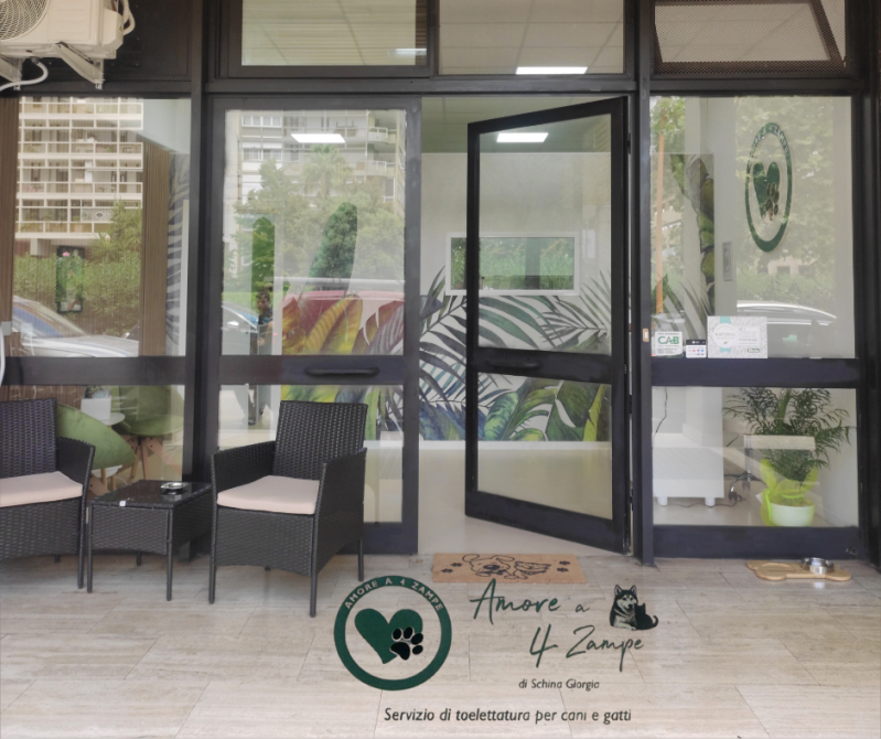 Images Amore a 4 Zampe