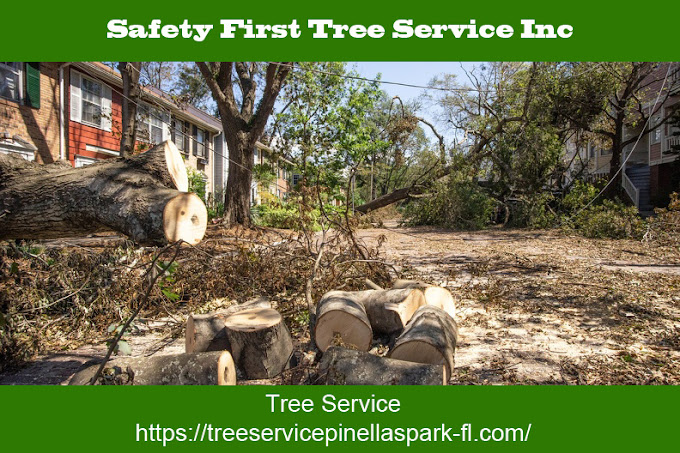 Images Safety First Tree Services