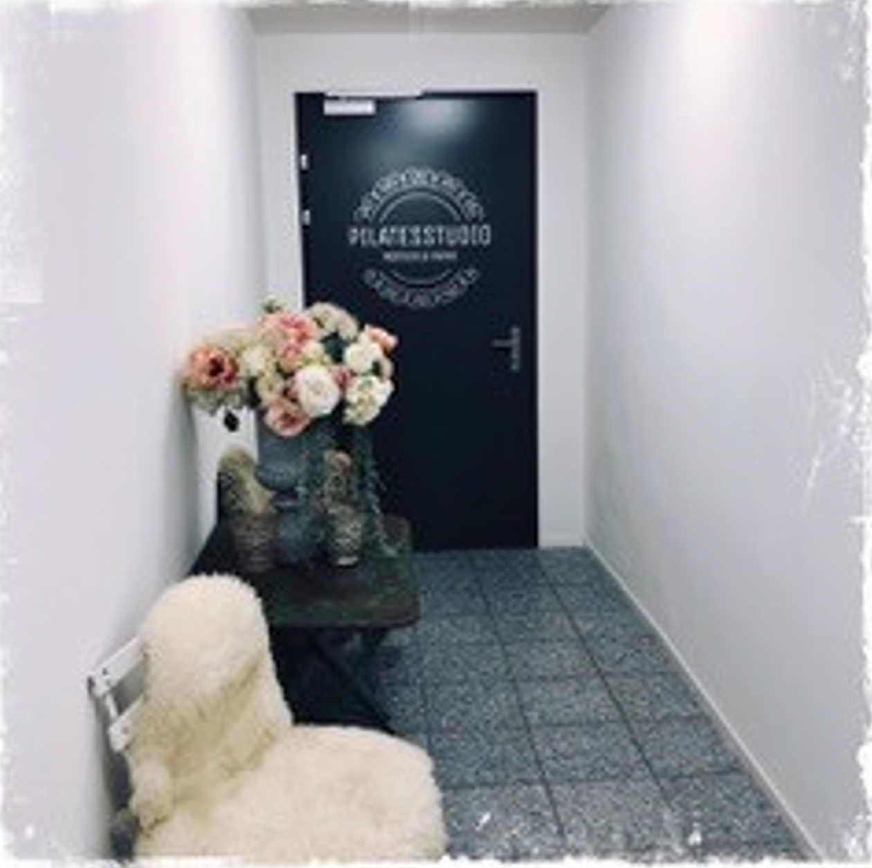 Bilder Pilatesstudio Manuela Rava GmbH