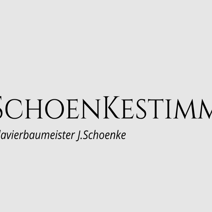 Logo SchoenKestimmt