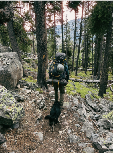Alpine Forestry Image