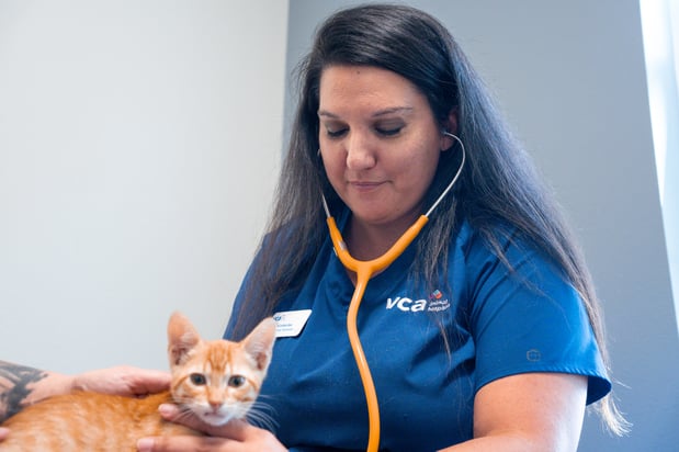 Images VCA Veterinary Hospital of Leon Springs