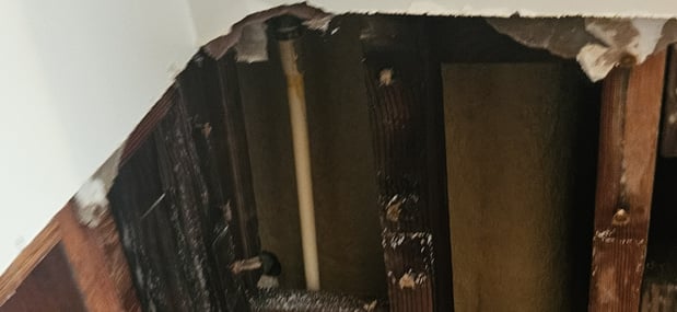 Images No Leaks Plumbing LLC
