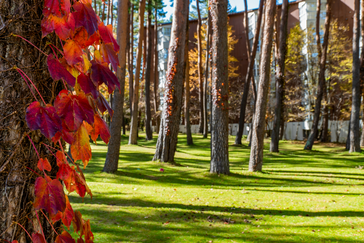 Images フジプレミアムリゾート