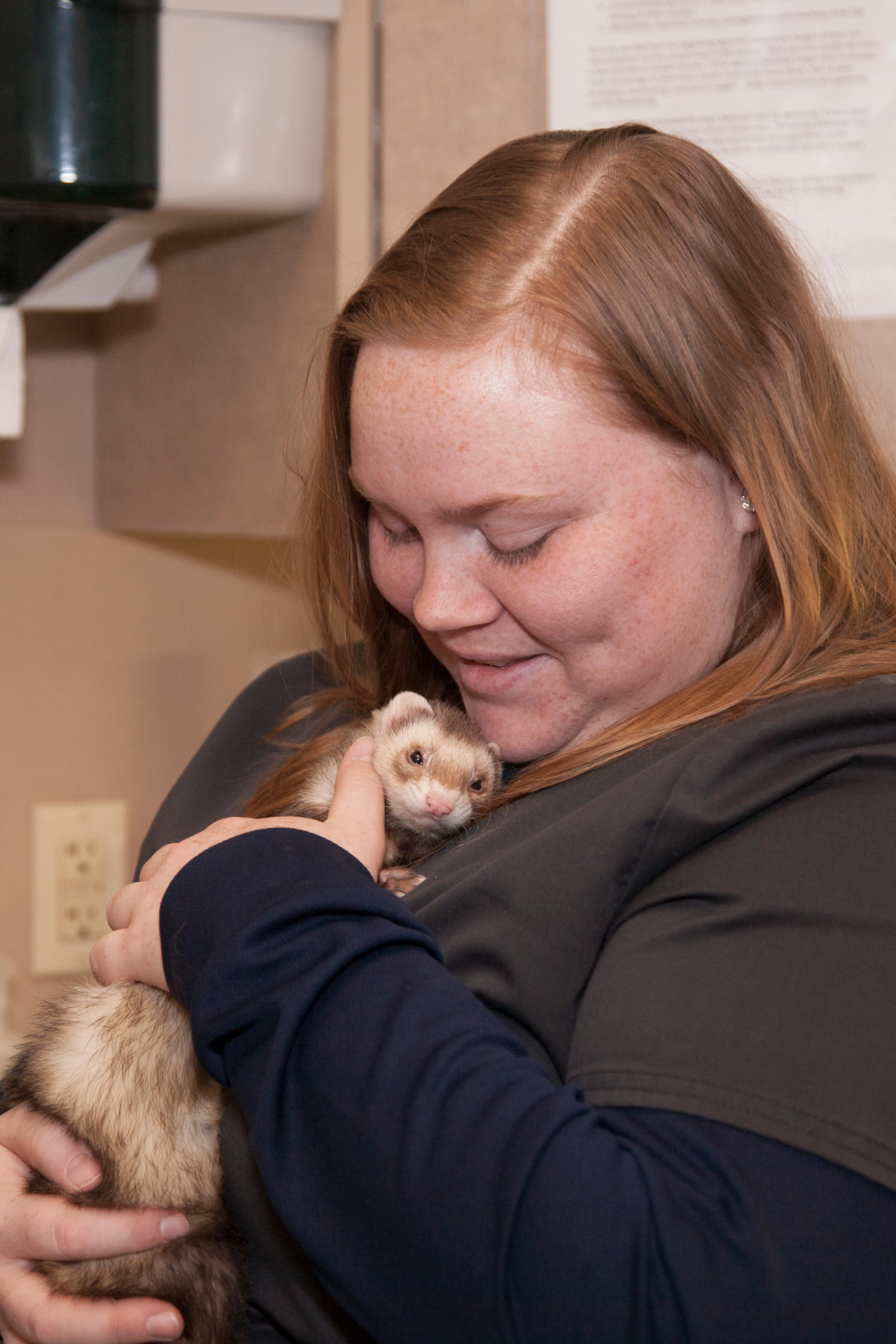 Pocket pets, like this ferret, make great forever friends!