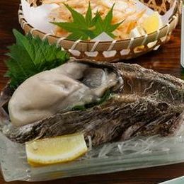 Images 笠市寿し龍